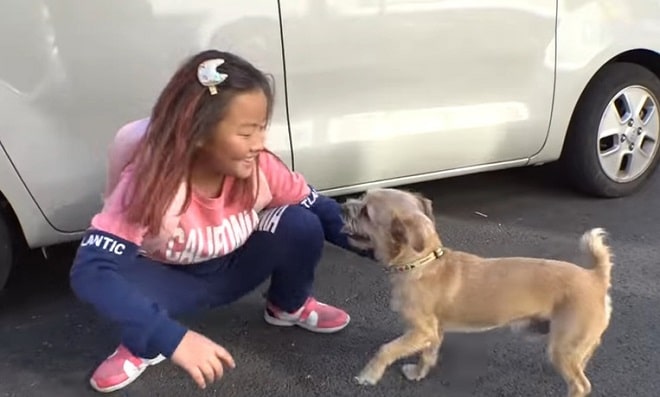 Девочка рыдала, не переставая: только что она своими руками отдала собаку, которую полюбила всей душой