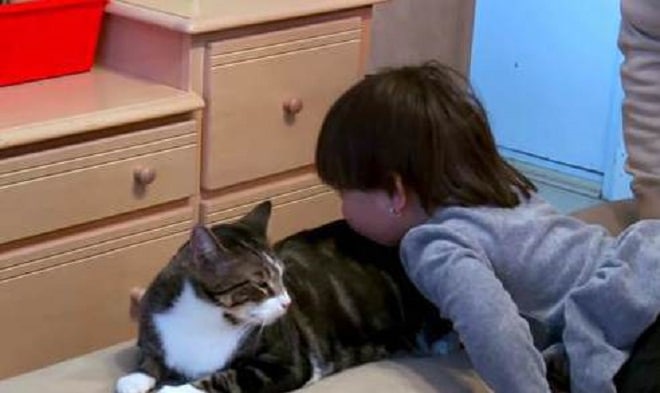 «Он повел меня в комнату к дочке»: кот, которого должны были усыпить в приюте, спас ребенку жизнь