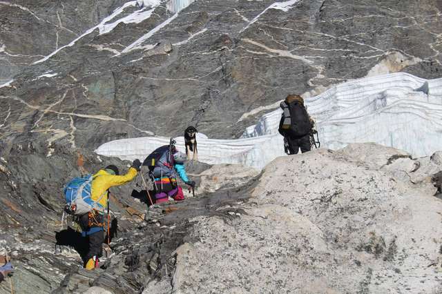 Альпинисты не верили своим глазам: на высоте 5500 метров к ним навстречу шла собака!