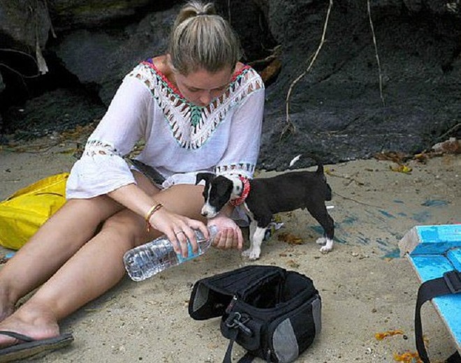 Туристы из Британии увидели щенка, с которым не смогли расстаться. Но была одна преграда