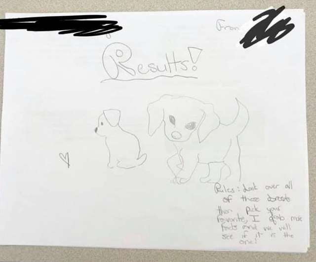 Учительница мечтала о собаке, и дети из ее класса захотели ей помочь. Однажды она нашла у себя на столе анкету…
