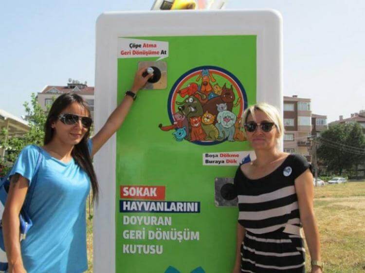 Вендинговые автоматы на улицах Стамбула кормят бездомных животных