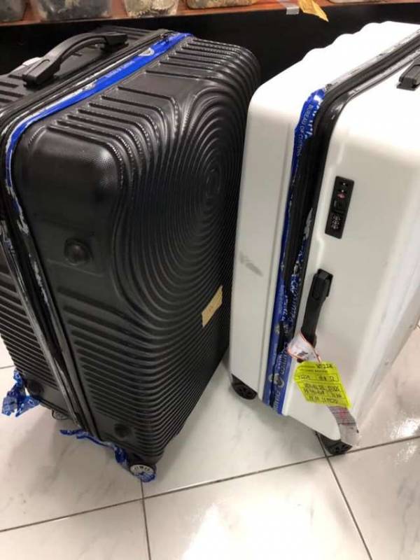 Пассажир бросил в аэропорту 4 чемодана! А внутри были спрятаны 1500 маленьких жизней…