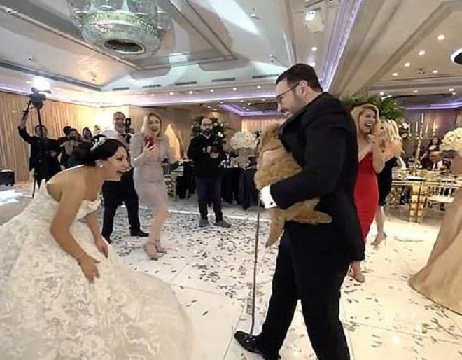 Упала от радости: невеста прямо на свадьбе неожиданно получила «лохматый подарок»