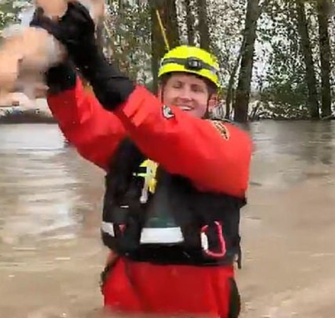 «Усатый пловец»: во время наводнения кот не раз пытался улизнуть от спасателей