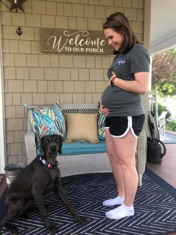 В ожидании чуда: необычная реакция собаки на беременную хозяйку