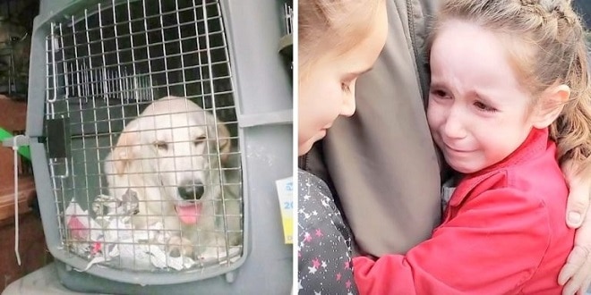 Сестрички увидели собаку и расплакались: им удалось спасти ей жизнь, хотя еще вчера они об этом не знали