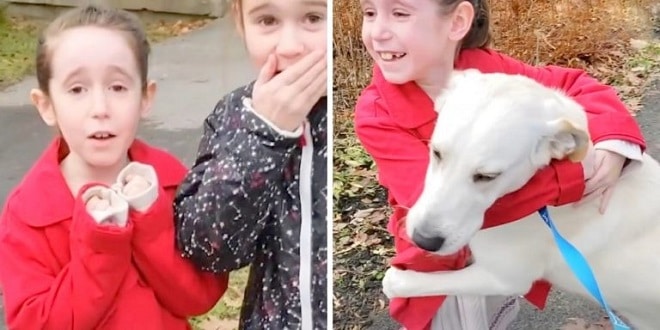 Сестрички увидели собаку и расплакались: им удалось спасти ей жизнь, хотя еще вчера они об этом не знали