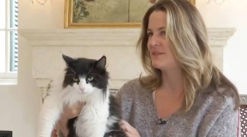 Хозяйка искала кошку больше года, но случайный разговор помог ей снова встретиться с питомицей