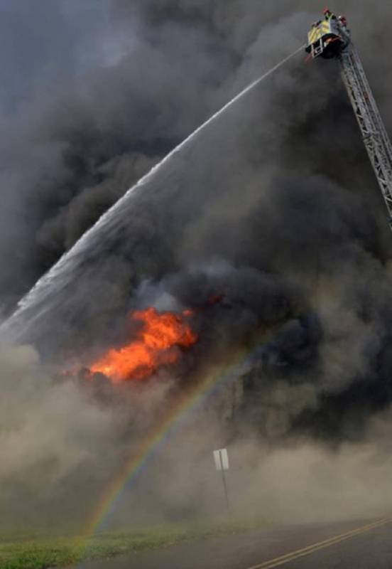 «А зачем спасать енотов?» — спросил кто-то, пока пожарные помогали двум зверькам выбраться из горящего здания