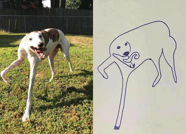 Хозяин пса-глупышки решил наскоро нарисовать питомца и получилось очень смешно