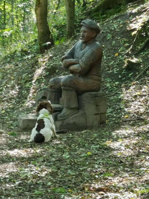 Увидев деревянную статую человека в парке, пес подошел к ней поиграть. Безмолвный отказ сильно его расстроил