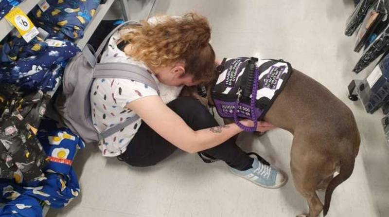 Собака заботится о больной хозяйке, а недавно даже спасла ей жизнь