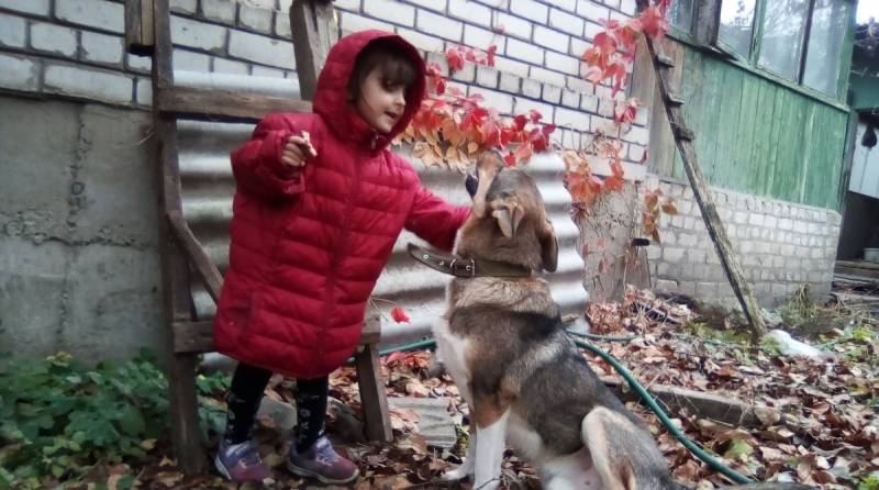 Девочка боялась собак, но бездомный пёс Федя ей нравился. А однажды он попал под машину…