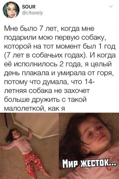 Новые весёлые картинки и фотки