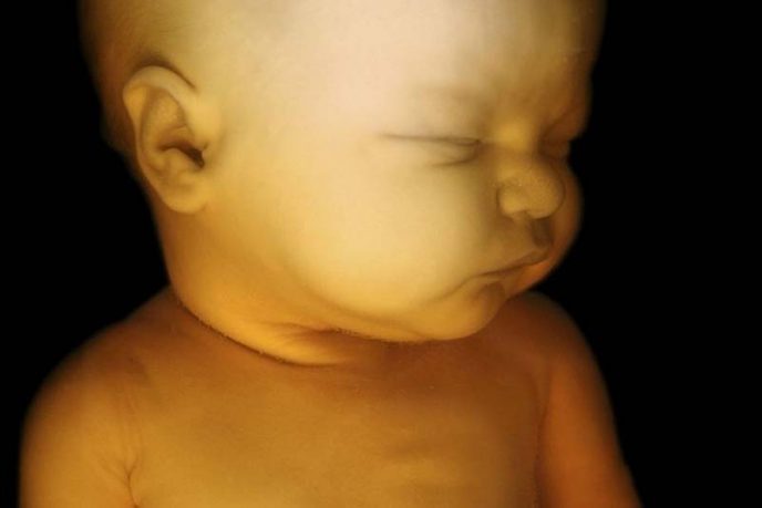 Уникальный фотопроект: «Жизнь ребенка до рождения»