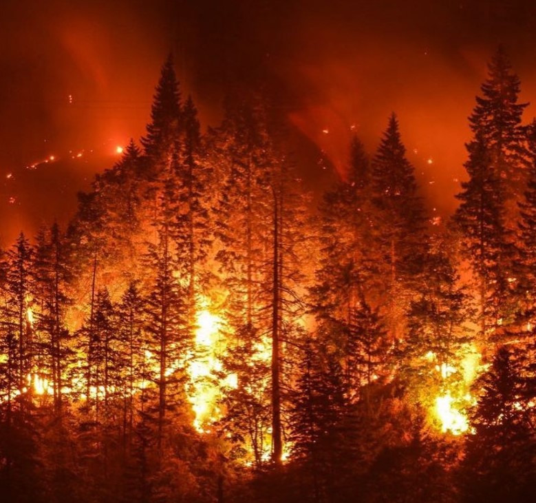 Снимки горящей Сибири всколыхнули сеть. Это трагедия для всего мира!