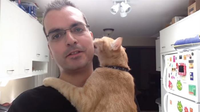 Милейший видеоролик: рыжий котик показывает, насколько сильно он любит своего хозяина