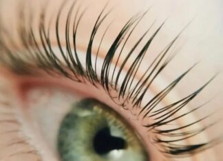 Букет цветов: почему они популярны, отличный подарок для девушки, женщины или знакомой, какие оттенки означают, как заказать цветы через интернет? Что нужно знать о ламинировании ресниц?