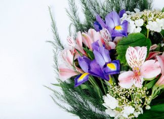 Питерские цветы: свежесть, красота и безупречная доставка